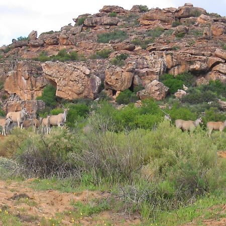 Traveller'S Rest Clanwilliam Exterior foto